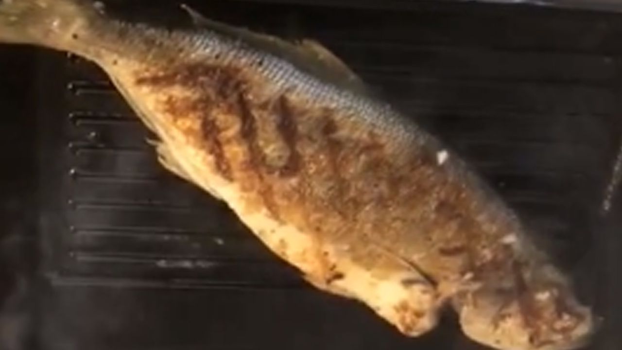 Lüfer Balığı Nasıl Pişirilir?