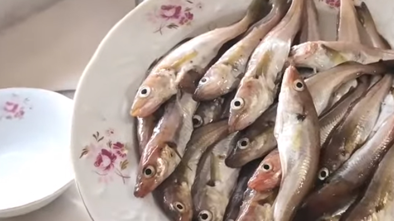 Mezgit Balığı Nasıl Pişirilir?