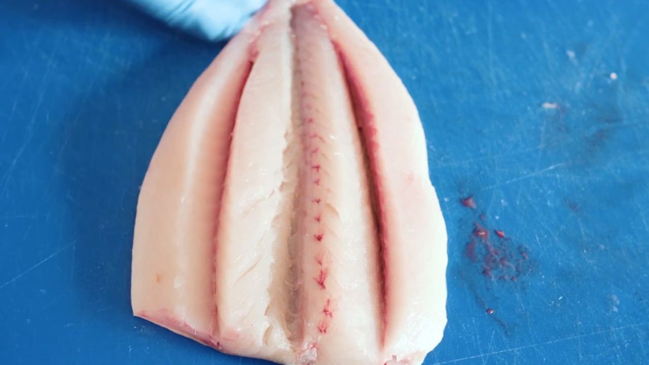 Uskumru Balığı Nasıl Pişirilir?