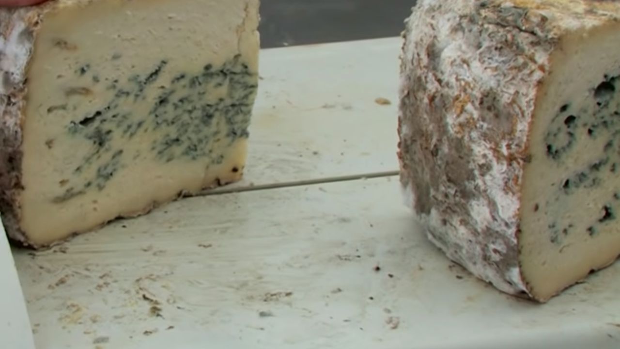 Gorgonzola Peyniri Nasıl Yapılır?